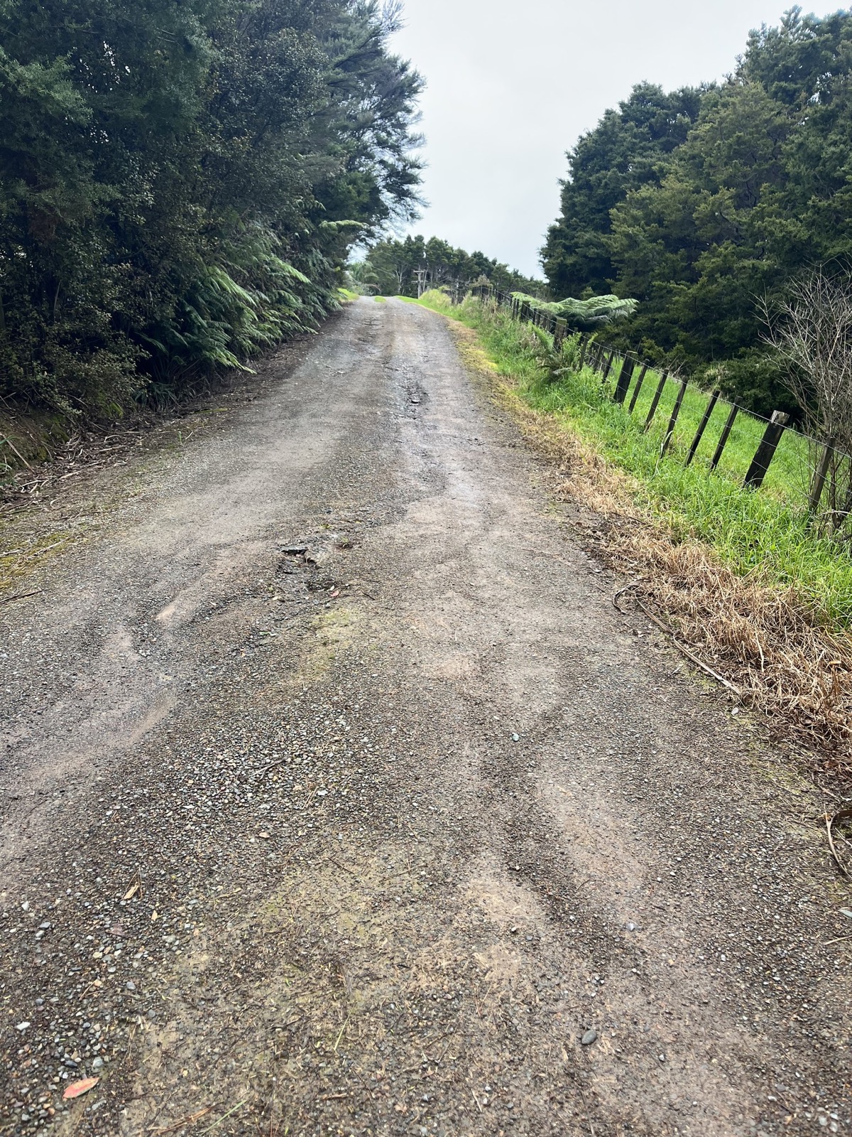 Rural Driveway Construction & Upgrades - Image 4