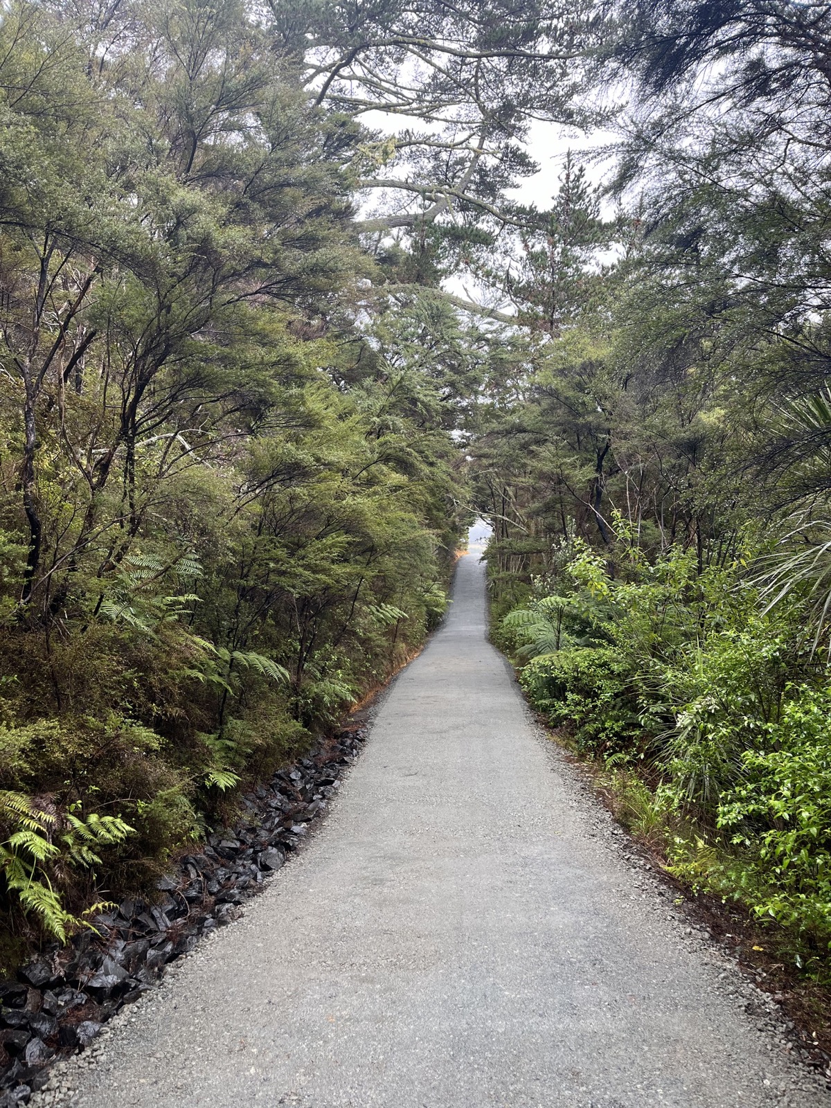 Rural Driveway Construction & Upgrades - Image 1