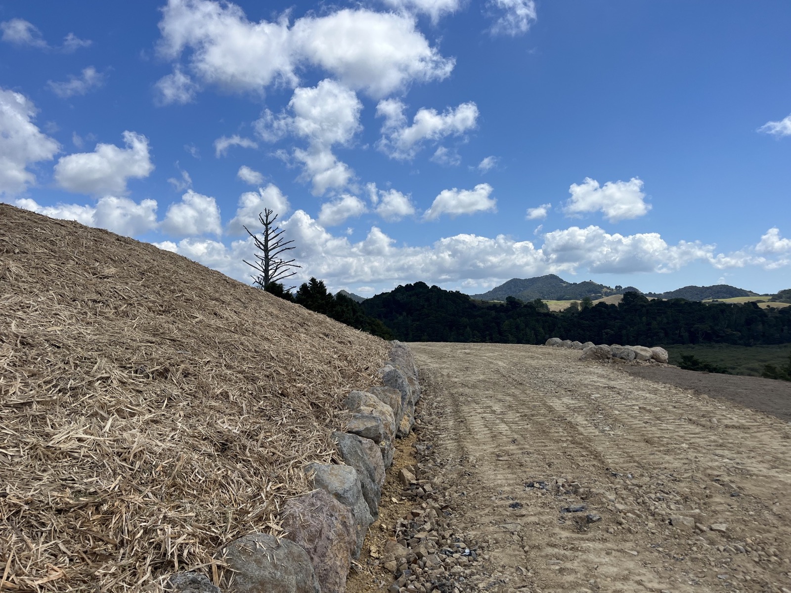 Tiny Home Site Preparation - Image 1