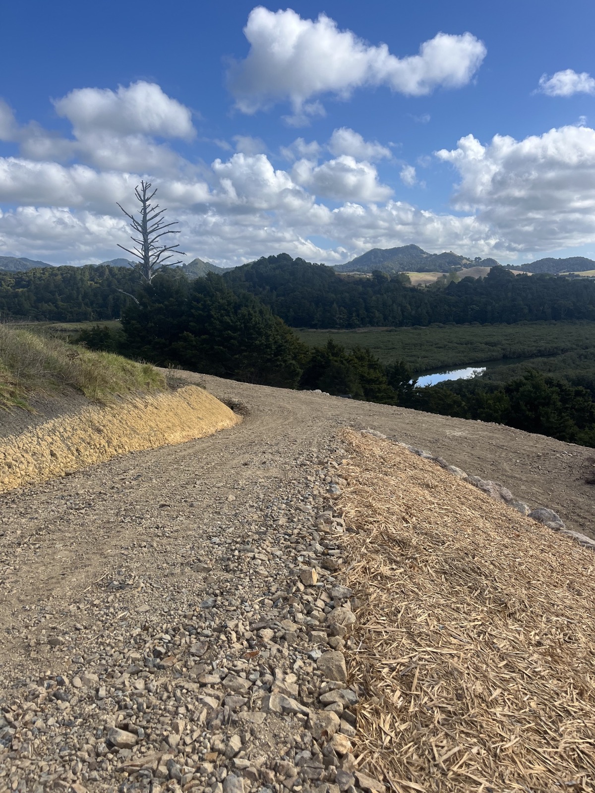 Tiny Home Site Preparation - Image 2